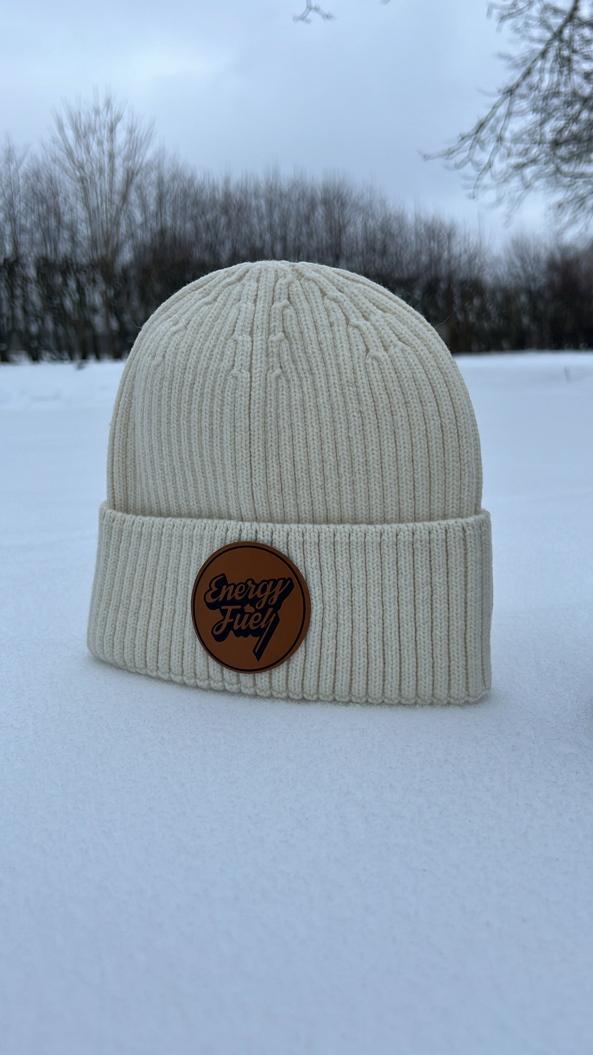 Energy Fuel Mössa v.1