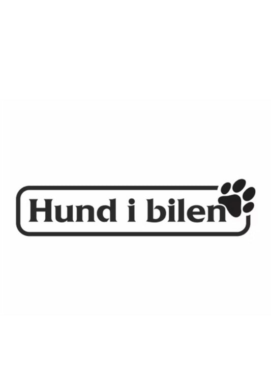 Dekal Hund i bilen