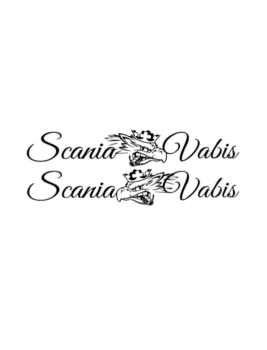 Dekal Scania Vabis 2-Pack
