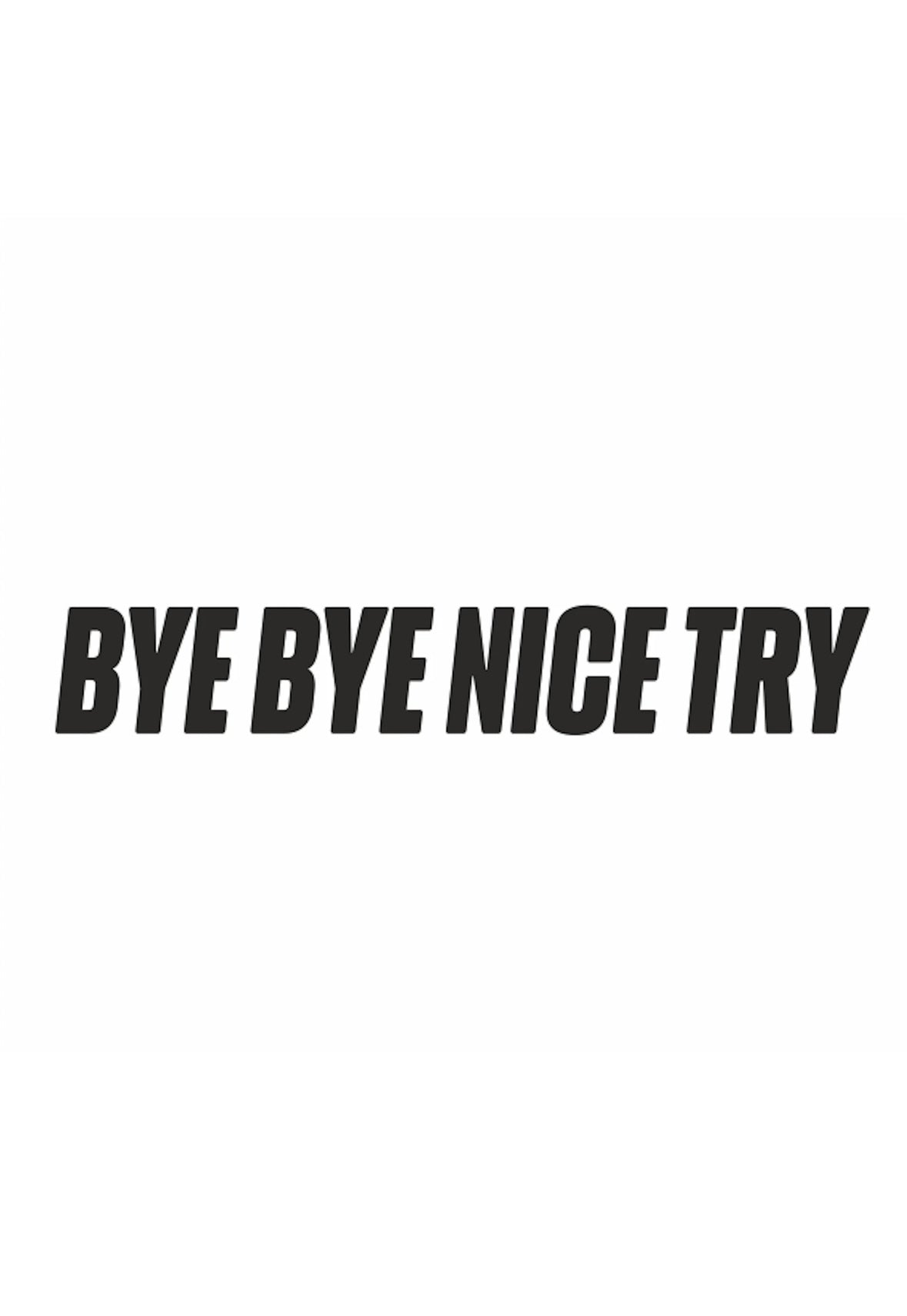 Dekal BYE BYE NICE TRY