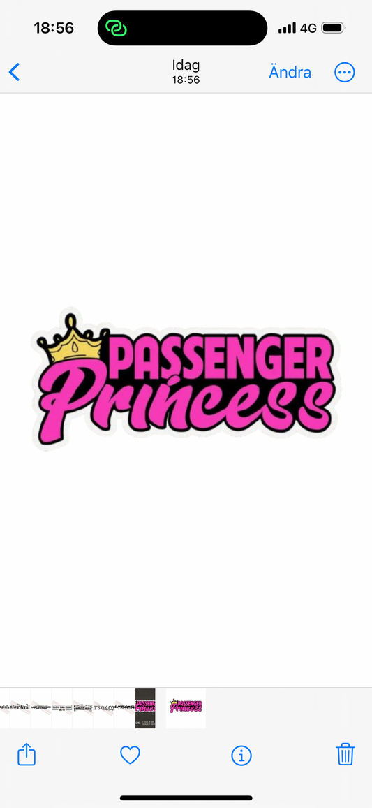 Dekal Passenger Princess